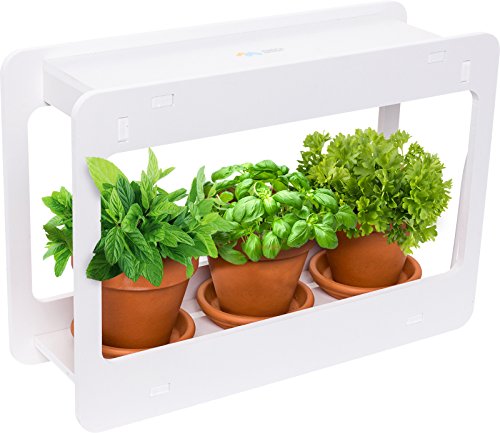 Mindful Design LED Indoor Herb Garden  at Home Mini Window Planter Kit for Herbs Succulents and Vegetables (White)
