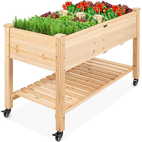 Best Choice Products Raised Garden Bed 48x24x32inch Mobile Elevated Wood Planter wLockable Wheels Storage Shelf Protective Liner