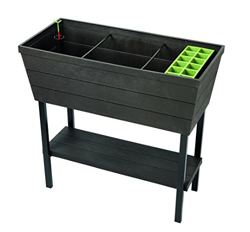 Keter Urban Bloomer 127 Gallon Raised Garden Bed with Self Watering Planter Box and Drainage Plug Dark Grey