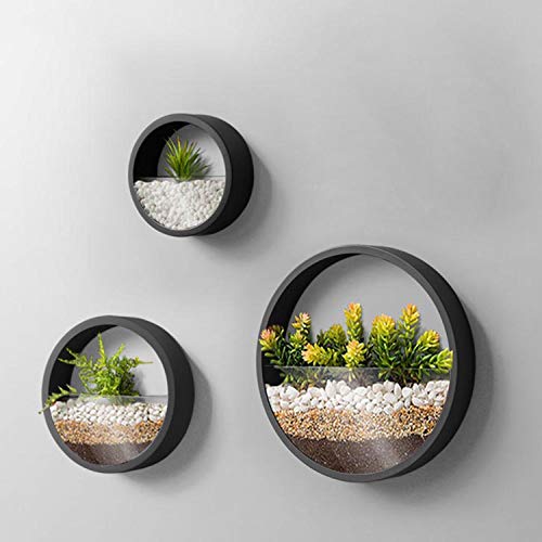 3 Pack Set Wall PlantersModern Round Glass Wall Planter Succulent Planter Circle Iron Hanging Planter Vase for HerbSmall Cactus Perfect for Balcony Room and Patio Decor (Black)