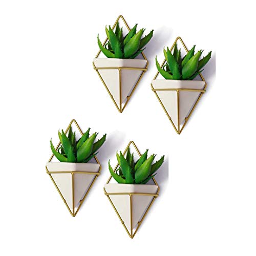 BBA SUNRISE  Geometric Hanging Planter Wall Decor (Set of 4) MultiFunctional Decorative Hanging Planters Modern Hanging Wall Decor for Succulents Air Mini Cactus Faux Plants  More Indoor