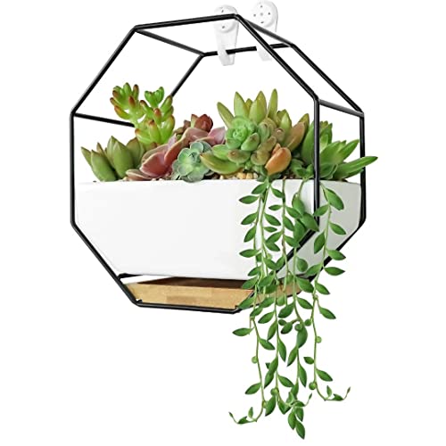 Ivolador Modern Wall Planter Metal Wire Octagon Design WallMounted Shelves with Ceramic Flower Pot Air Plant Container Hanging Vase Desktop Succulents PlanterBlack