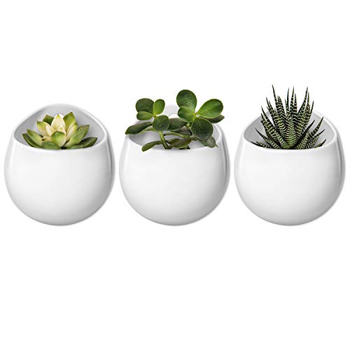 Mkono 4 Inch Wall Mounted Planter Round Ceramic Hanging Plant Holder Decorative Flower Display Vase Succulent Pots for Indoor Plants Set of 3 White (Plants NOT Included)
