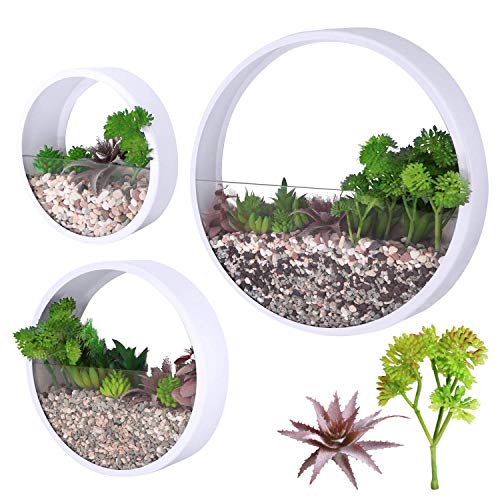 Modern Wall Planters Wall Vase Succulent Planter Circle Round Flower Pot Metal Iron Indoor Vertical Container Wall Hanging Home Decoration Size SML 3 Pack Set with 2 PCS Artificial Succulent Plant