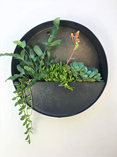 Round Hanging Wall Vase Planter for Succulents or Herbs  Beautiful Wall Decor for Air Plants Faux Plants Cacti and More Dark Zinc Color  in Gift Box