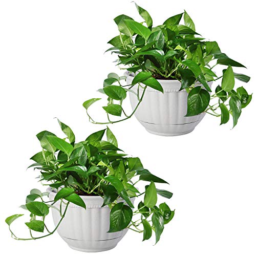 T4U Resin Wall Planter Marble Gray Set of 2 Wall Mounted Garden Plant Flower Pot Basket Container Indoor Outdoor Use for Orchid Herb Succulent Cactus Home Office Porch Wall Decoration Gift