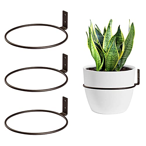 TreeLen Wall Planter Flower Pot Ring Suitable for 6 Inch Pots for Plants 3 Pack Metal Plant Hanger Wall Plants Hanging Flower Pots Indoor Outdoor Home Decor Brown