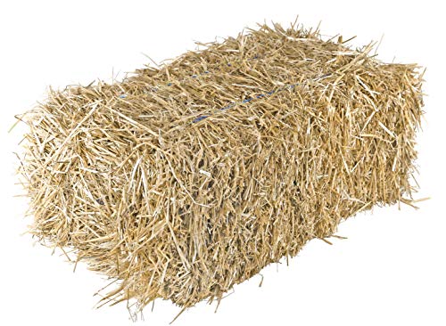 Garden Elements Straw Bale by Shady Creek Farm Perfect for Fall Decoration Garden Mulch Animal Bedding Mushroom Cultivation (36)