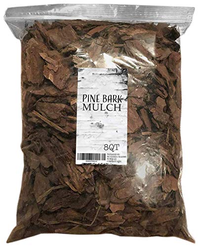 Pine Bark Mulch 100 Natural Pine Bark Mulch House Plant Cover Mulch Potting Media and More (8qt)