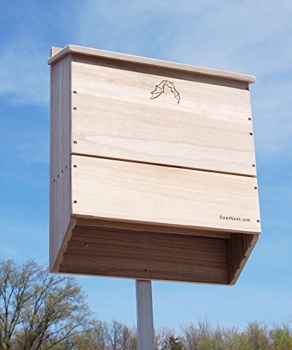 BestNest FiveCelled Bat House 500 Bats