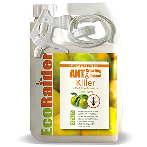 EcoRaider Ant  Crawling Insect Killer (32 OZ) 100 Fast Kills Also Kills Fire Ants Lasting Repellency Safe for Children  Pets