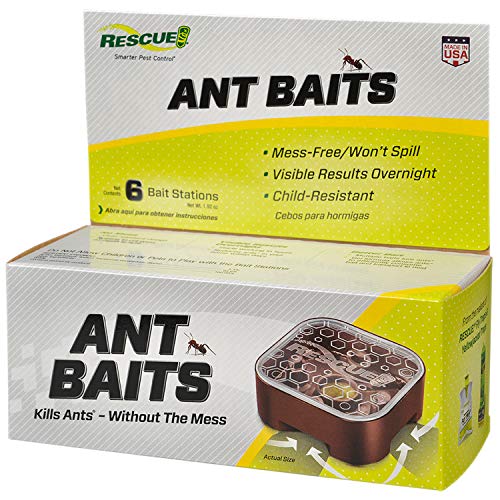RESCUE Ant Baits  Indoor Ant Killer Ant Trap Alternative  6 Bait Stations