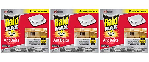 Raid Max Double Control Ant Baits Household Use Defense System to Control Bugs Dual Bait Technology 8 ct (Pack of 3 Boxes)