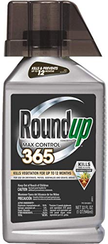 Roundup Concentrate Max Control 365 Vegetation Killer 32 oz