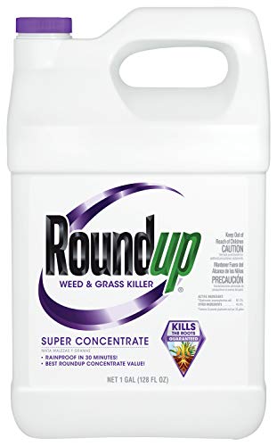 Roundup Super Concentrate Weed  Grass Killer 1 gal