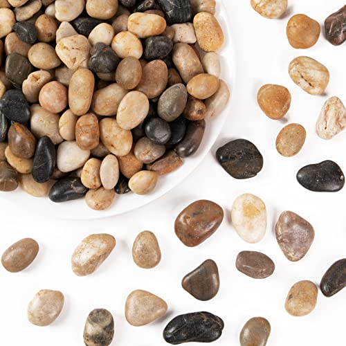 Future Way 5lbs River Rocks Decorative Pebbles for Plants Fish Tank Landscaping Natural Polished Mixed Colors 381 12 Inch