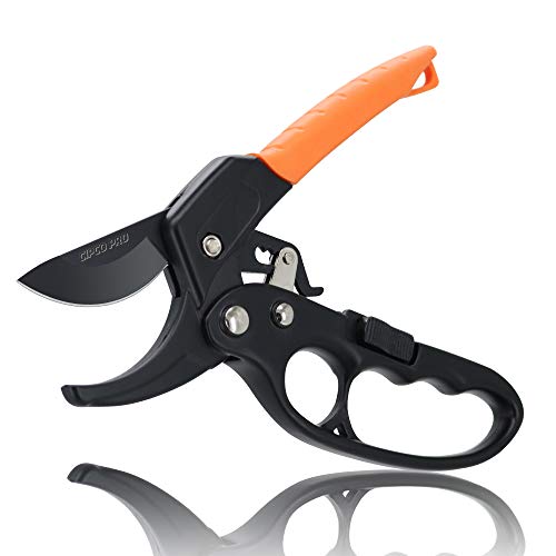 CIPCO PRO TOOL 8 Ratchet Anvil Pruning Shears Professional Garden Shears Clippers with Ergonomic Grip Tree Trimmers Secateurs for Gardening Twig Indoor Plant and Flower (Orange)