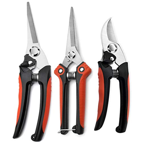 GRKJGytech Pruning Shears and Secateurs Professional Garden Scissors Stainless Steel Sharp Blades PP Nonslip Handles 3 PCS