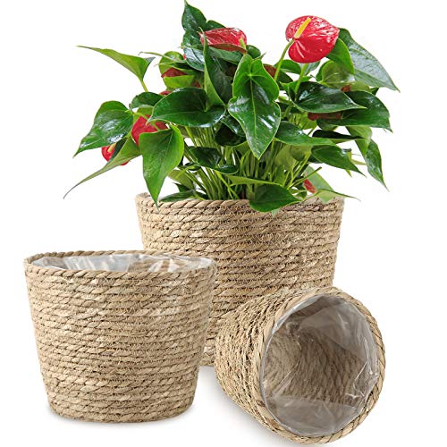 TomCare Plant Basket 3 Pack Seagrass Baskets Hand Woven Planters Basket with Waterproof Plastic Liner Plant Pots Containers Cover Storage Organizer Baskets for Indoor Outdoor Plant Flower Pots