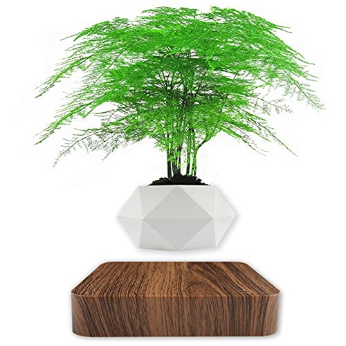 RUIXINDA Levitating Plant Pot Cool Gadgets Magnetic Floating Plant Pot Magnetic Levitation Air Bonsai Pot Cool Tech Gift for Office Decor Spinning Pot Cool Stuff Desk Levitating Decoration