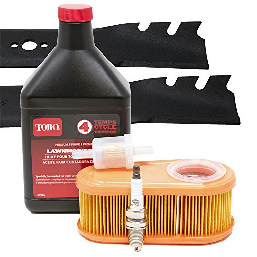 Toro Time Master (Serial Range 314000001  UP) Tuneup Kit