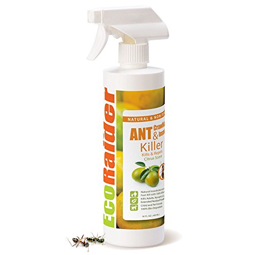 EcoRaider Ant Killer Crawling Insect Killer Citrus Scent 16 OZ Natural Non-Toxic
