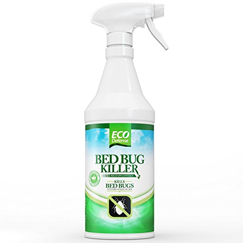 Eco Defense Bed Bug Killer Natural Organic Formula Fastest 16 Oz