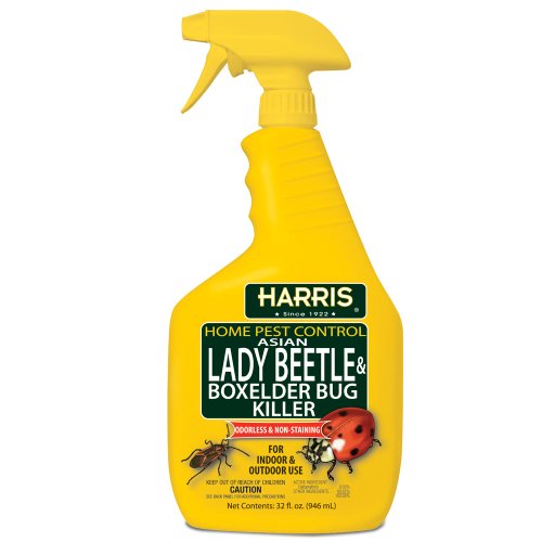 P F Harris Mfg Co Hbxa-32 32 Oz Ready To Use Asian Lady Beetleamp Box Elder Bug Killer