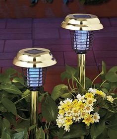2-in-1 Solar Stake Lightsamp Flying Insect  Mosquito Zapper - Brass Finish - Set Of 2