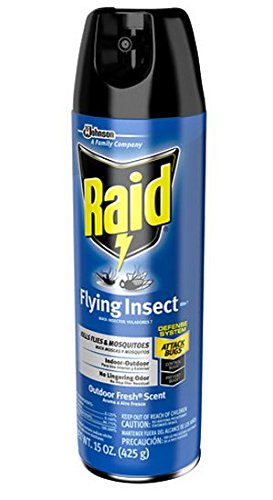 Raid Flying Insect Killer Aerosol Outdoor Fresh 15 oz 425 g1 pk