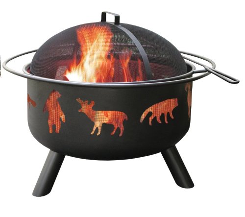 Premium Patio Fire Pit Landmann Wood Burning for Outdoor Deck or Backyard Cooking in Modern Round Small Metal Design