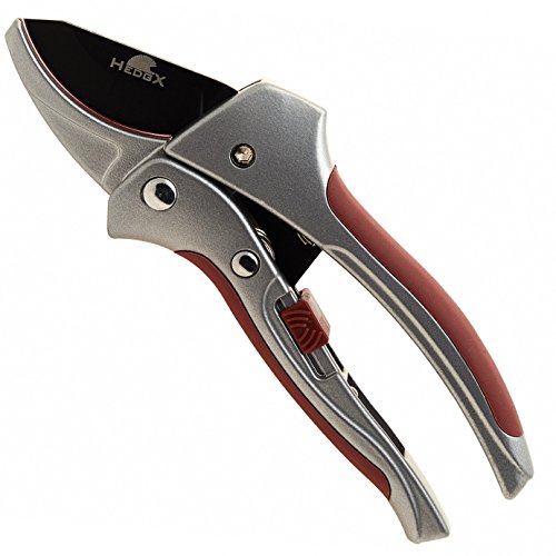 HedgX Anvil Pruning Shears Garden Pro Pruner Best as Tree Branch Cutter for Weak Hands Ergonomic Plant Trimmers Cutters Buy Heavy Duty Clippers Secateurs to Cut Your Trees Roses and Hedges Now