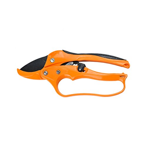 Anianiau Professional Garden Scissors SK-5 Steel Bypass Pruning Shearsï¼ˆOrangeï¼‰