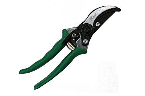 Hand Pruners - 8 Inch Bypass Pruning Shears - Garden Scissors - Tree Clipper - Carbon Steel Blade Hand Pruner