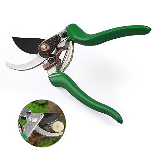 Pruning Shears Woqi Professional Garden Bypass Pruning Scissors With Rotating Handle To Minimize Strain Plant