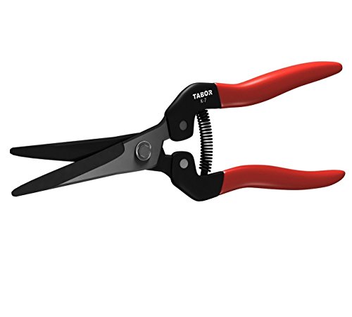 Tabor Tools Long Straight Pruning Scissors Go Multi-tasking With K-7 Trimming And Harvesting Garden Shears Great
