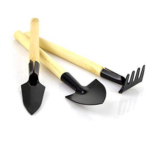 FreehawkÂ Mini Gardening Plant Pot 3 pieces Gardening Tools Small Shovel  Rake  Spade 1 pack