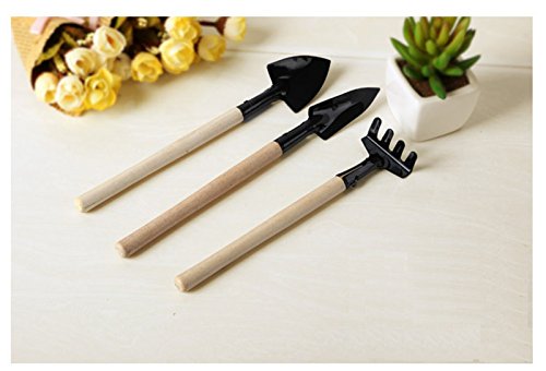 HAKDAY 3pcs Set Good Mini Garden Plant Tool Gardening Tool Shovel Rake