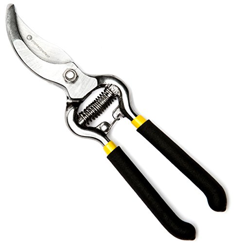 Fall Closeout Sale - Planted Perfect Pruning Shears - 8&quot Hardened Steel Gardening Hand Pruners - Free Bonus Ebook