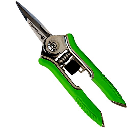 PRO PRUNING SNIPS - 6 Green Micro Tip Garden Shears for Precise Trimming - Lightweight Stainless Steel Hand Pruners Flower Scissors Tree Trimmers and Bonsai Snippers