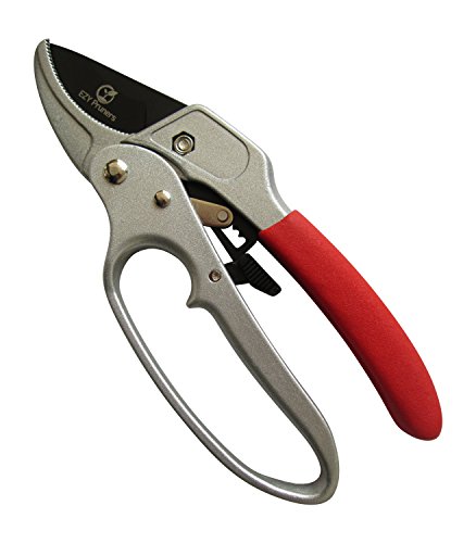 Ratchet Pruning Shears - Sharp 8-inch Garden Hand Pruners - Easy Ratcheting Action - Best Secateurs for Small to Medium Jobs - High Carbon Steel Blade Cuts Wood up to 1 - Makes Pruning Easier - Simple to Lock or Unlock - 100