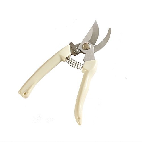 Pruners Yamix Professional Stainless Steel Sharp Hand Garden Pruners Secateurs Trimming Scissors for Cutting Flower