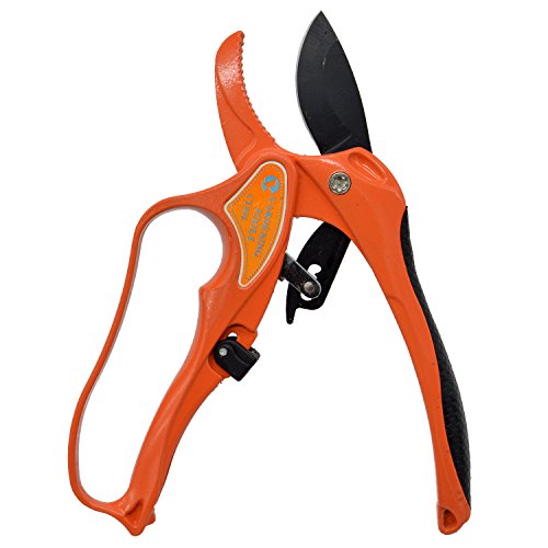 Freehawk&reg Garden Shears  Scissors Secateurs Pruners  Clippers  Cutters  Snips Garden Tools 8 Inch Sk5 Blade
