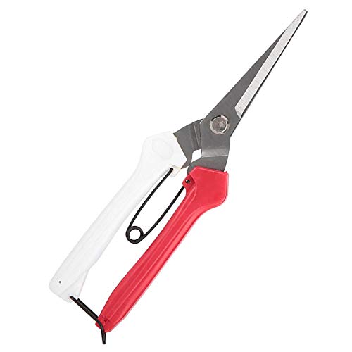 Tree Pruning Shears Red White Stainless Steel Pruning Shear Cutter Gardening Plant Scissor Branch Pruner Garden Scissors Set