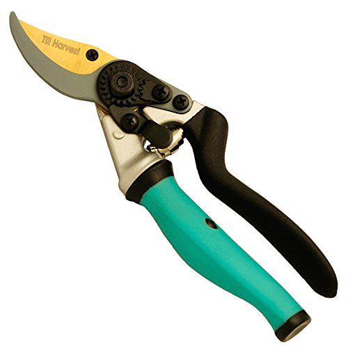 Prime Traditional Bypass Pruning Shears - Titaniumamp Teflon Coated Blades - Premium Garden Clippers Garden Scissors