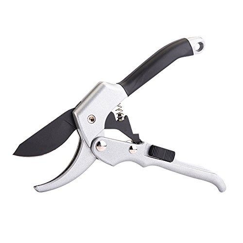Professional Quality Bypass Pruning Shears Less Effect Anti-Slip Design with Safe Locking SK-5 Steel Blade Gardening Scissors Perfect for Hedges Tree Branches by Rommeka
