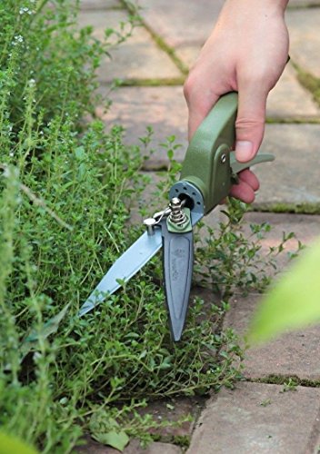 Worth Swivel Grass Shear Garden Lawn Border Edge Trimming Tool Power-LeverDesign