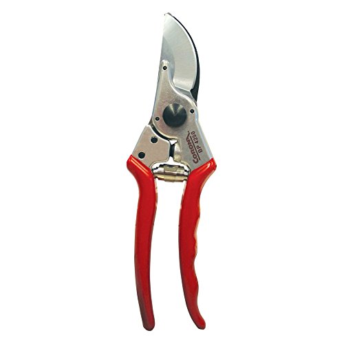 1 Forged Bypass Hand Pruners