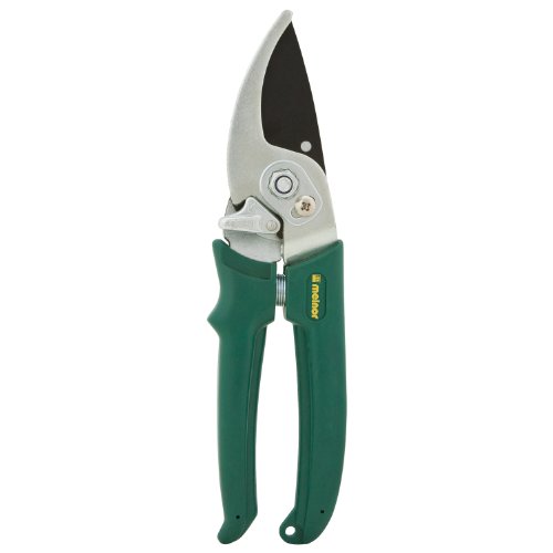 Bypass Hand Pruner 12-Inch