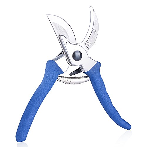 Megach 8 Inches Pruning Shears - Professional Light Duty Garden Leaf Scissors Cutter Bypass Hand Pruner Gardening Cutting Tools JA-13-005Blue